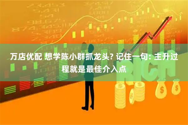 万店优配 想学陈小群抓龙头? 记住一句: 主升过程就是最佳介入点
