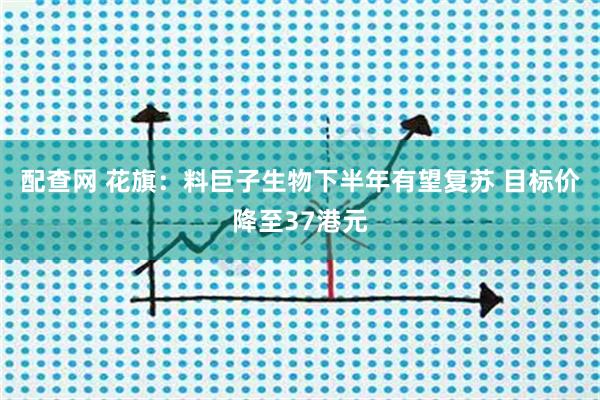 配查网 花旗：料巨子生物下半年有望复苏 目标价降至37港元