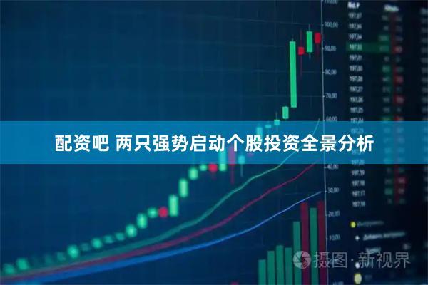 配资吧 两只强势启动个股投资全景分析